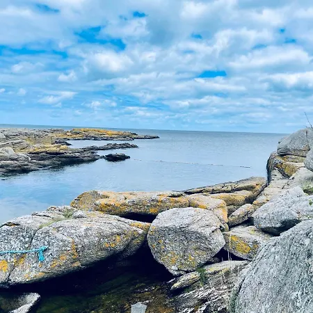 Nybygget Hus I Taet Pa Klipper, Skov Og Hav Hébergement de vacances